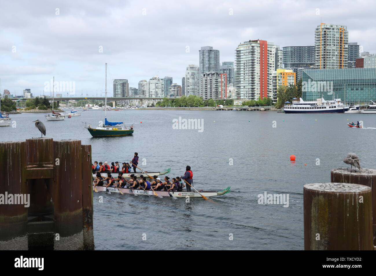 Concord Pacific Dragon Boat Festival in Vancouver ,British Columbia Canada in June  2019 Stock Photo