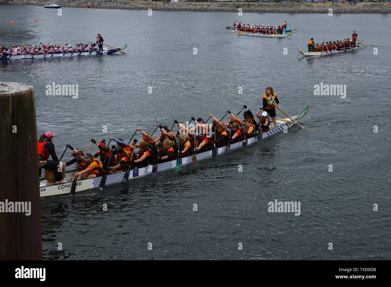 Concord Pacific Dragon Boat Festival in Vancouver ,British Columbia