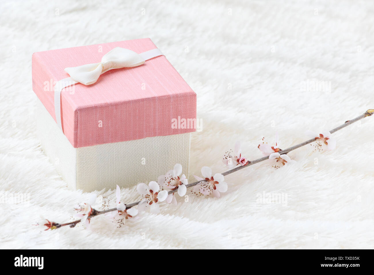 Exquisite gift box. Stock Photo