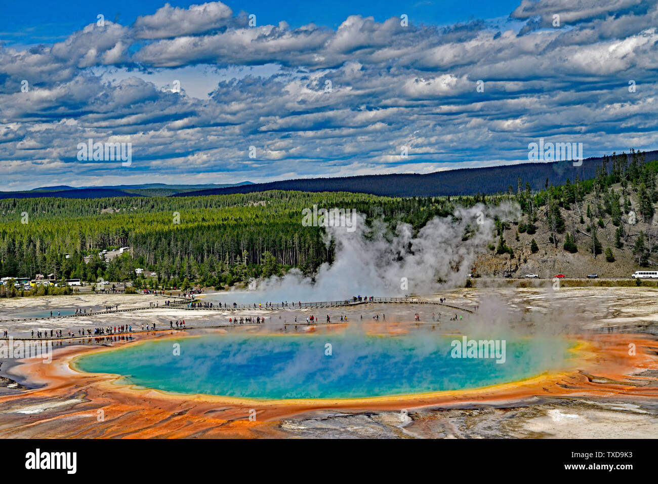 Grand Prismatic Spring view from the Trail head Overlook Stock Photo