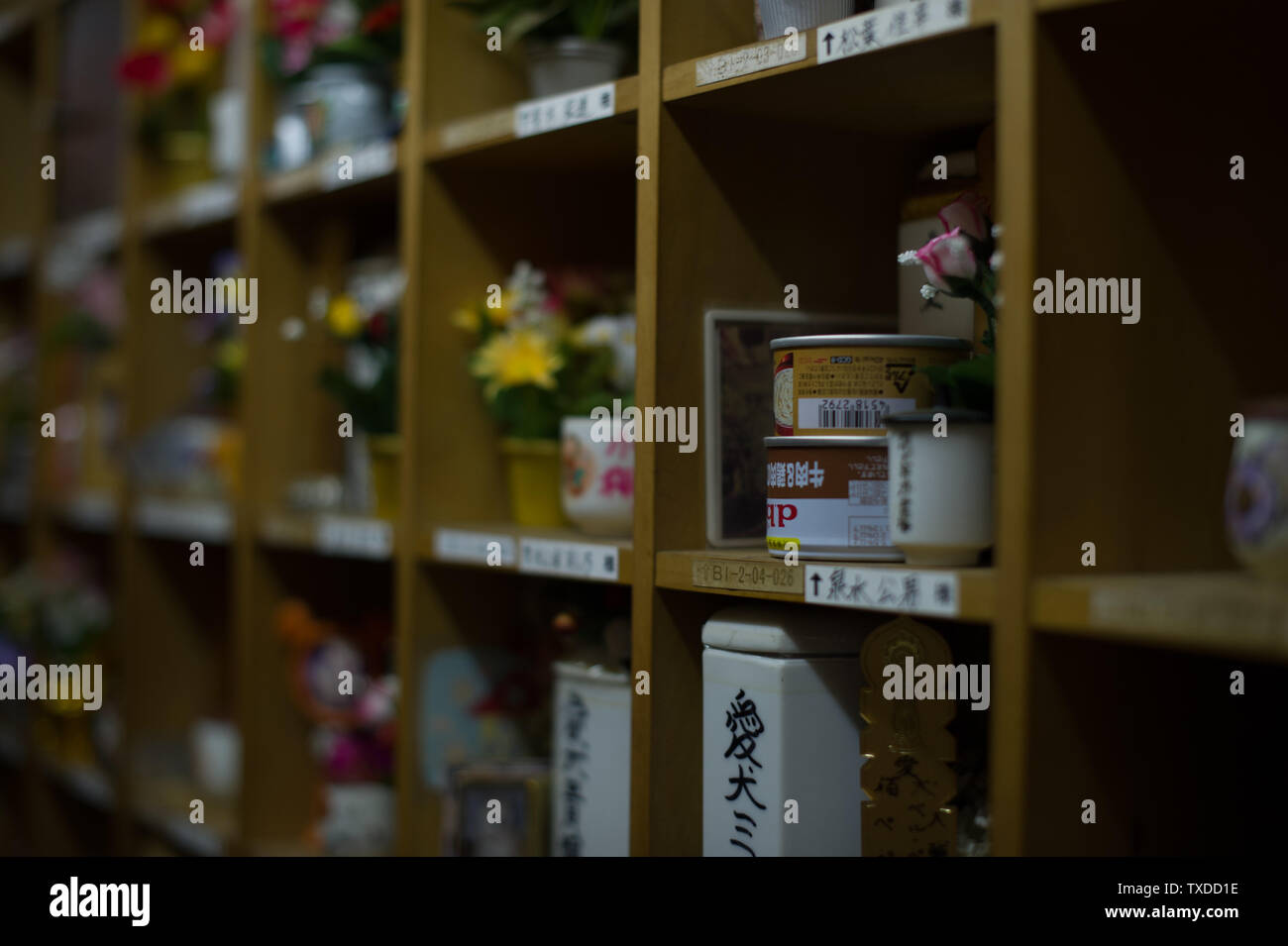 Mourners have left the ashes and gifts for their deceased pets in a pet cemetery in Tokyo, Japan. Stock Photo