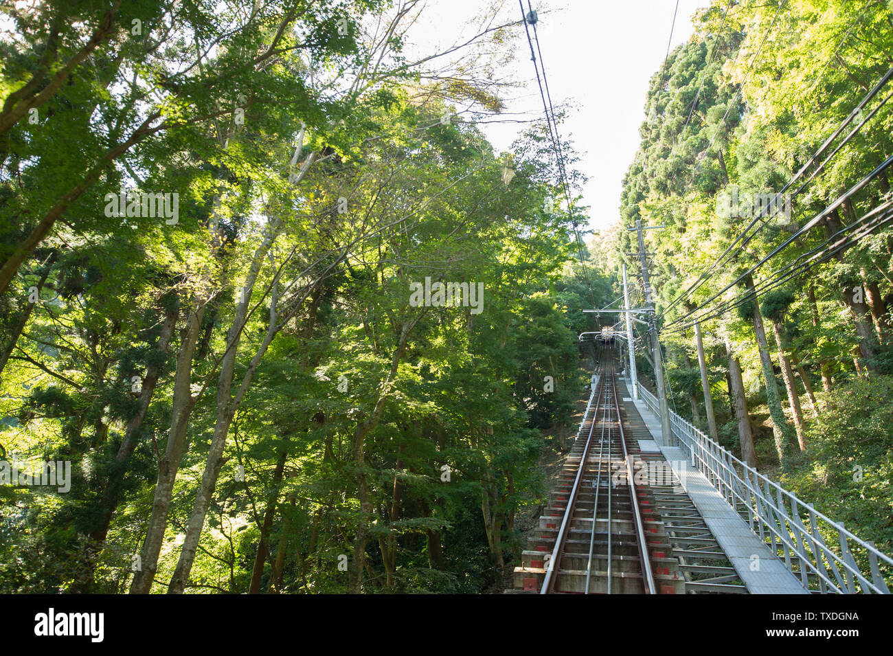 The funicular at Mount Takao park outside Tokyo regularly travels up and down the mountain, through the forest and a few tunnels. Stock Photo