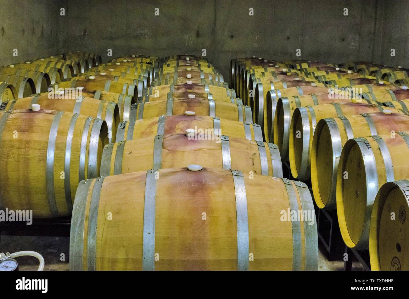 Winery, wine storage barrels, Grapes fermenting plant, Virginia, USA Stock Photo
