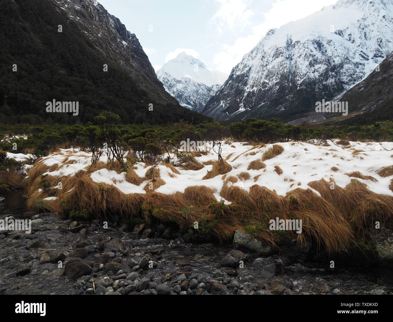 Grass valley rocky stream hi-res stock photography and images - Alamy