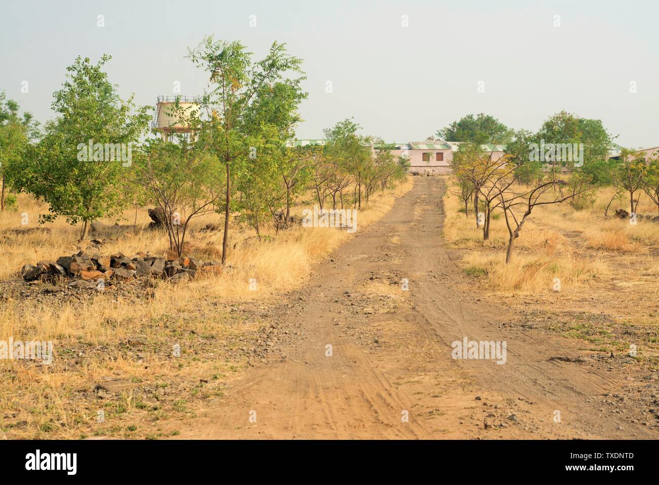 road, Tourism Palshiwadi Baramati, Pune, Maharashtra, India, Asia Stock  Photo - Alamy