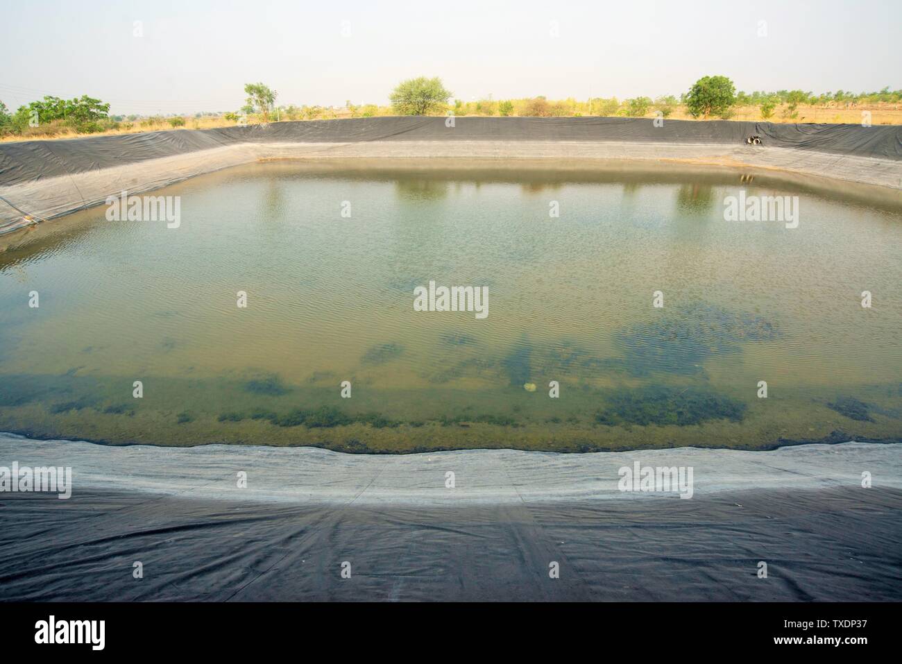 Plastic pond hires stock photography and images Alamy