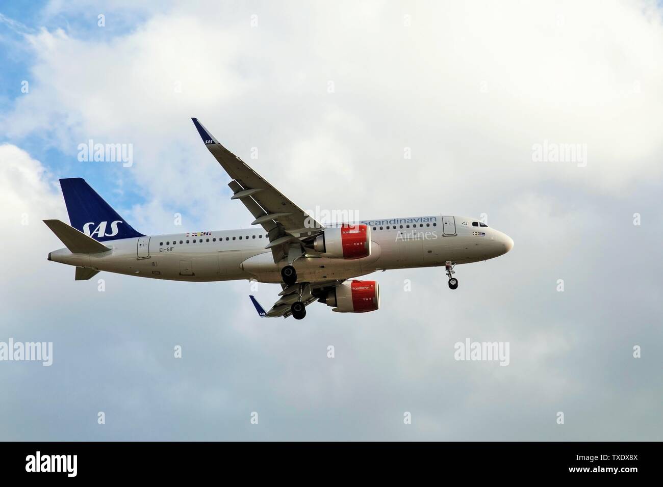 SAS Scandinavian Airlines aeroplane landing at Heathrow Airport, London, UK Stock Photo