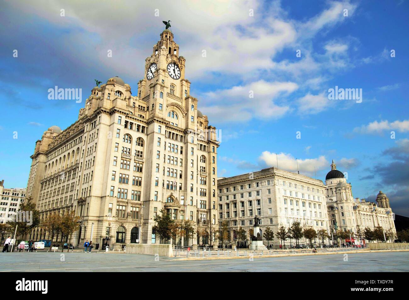 Royal Liver building, Liverpool, England, UK, United Kingdom Stock Photo