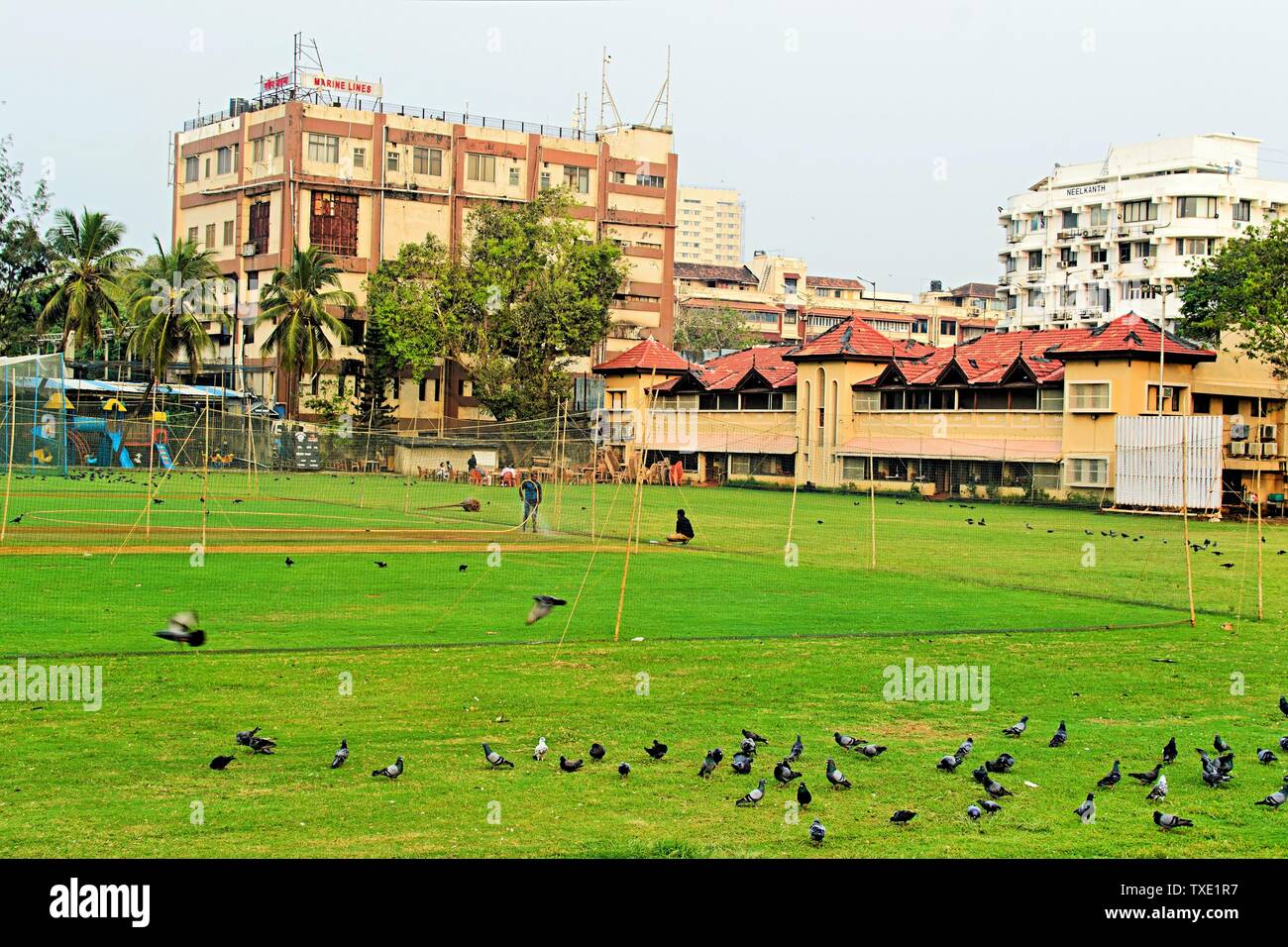 marine lines railway station building, Mumbai, Maharashtra, India, Asia