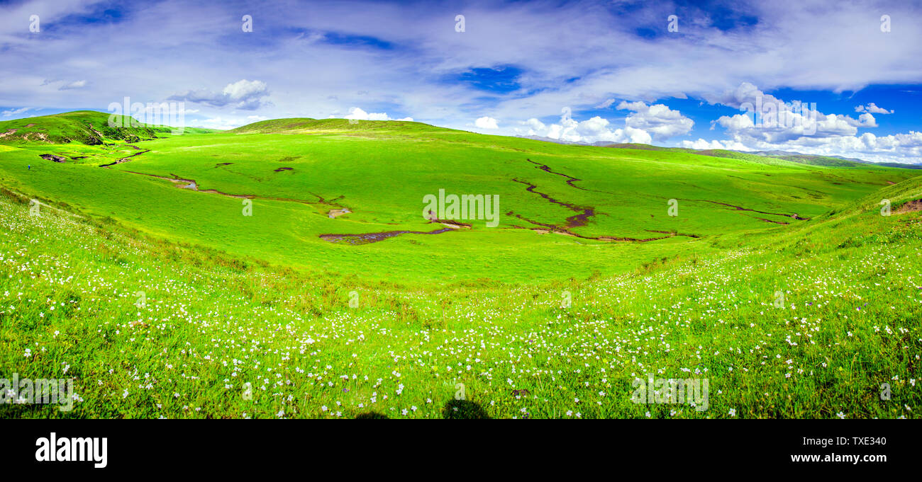 Description Stock Photo Alamy