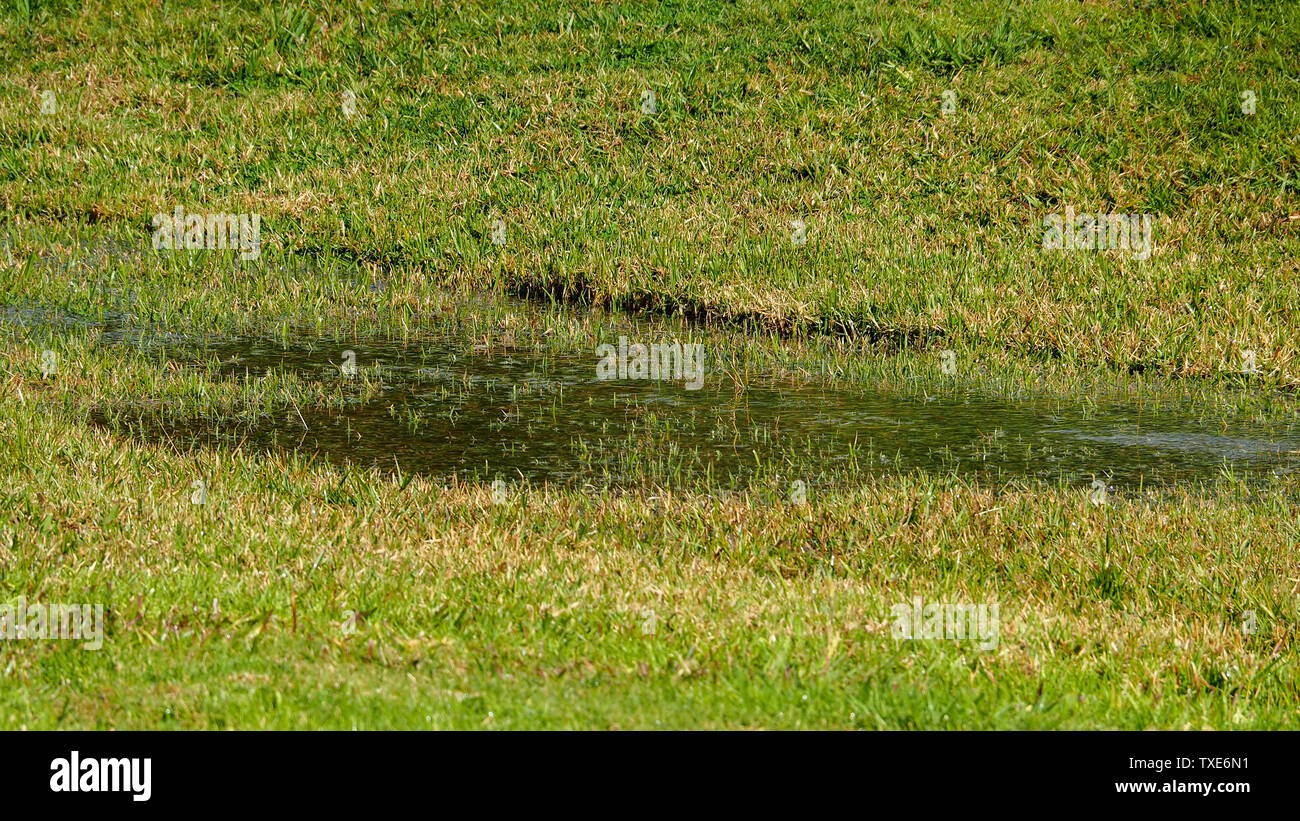 Puddles forming hi-res stock photography and images - Alamy