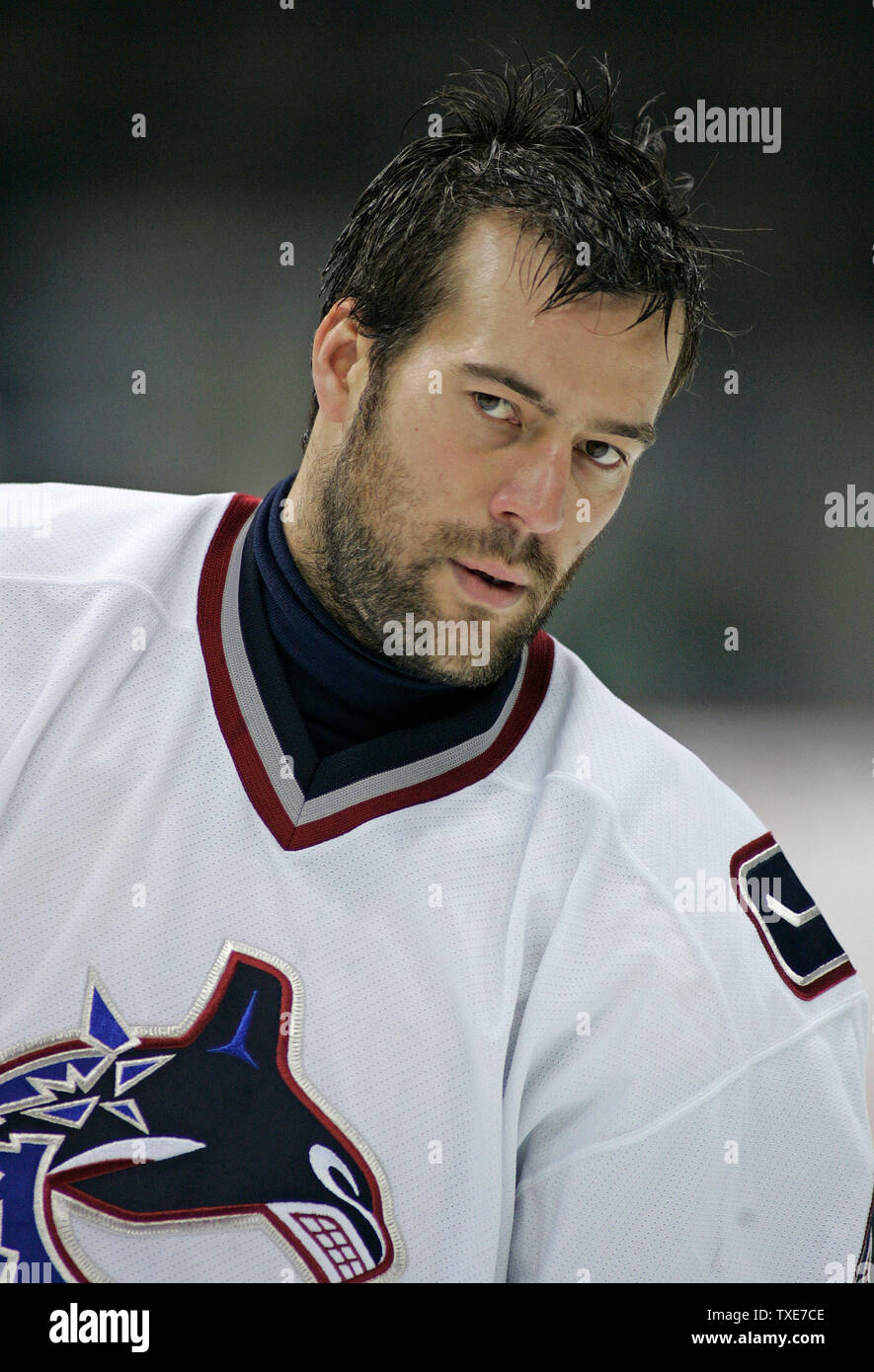 3,352 Todd Bertuzzi Photos & High Res Pictures - Getty Images