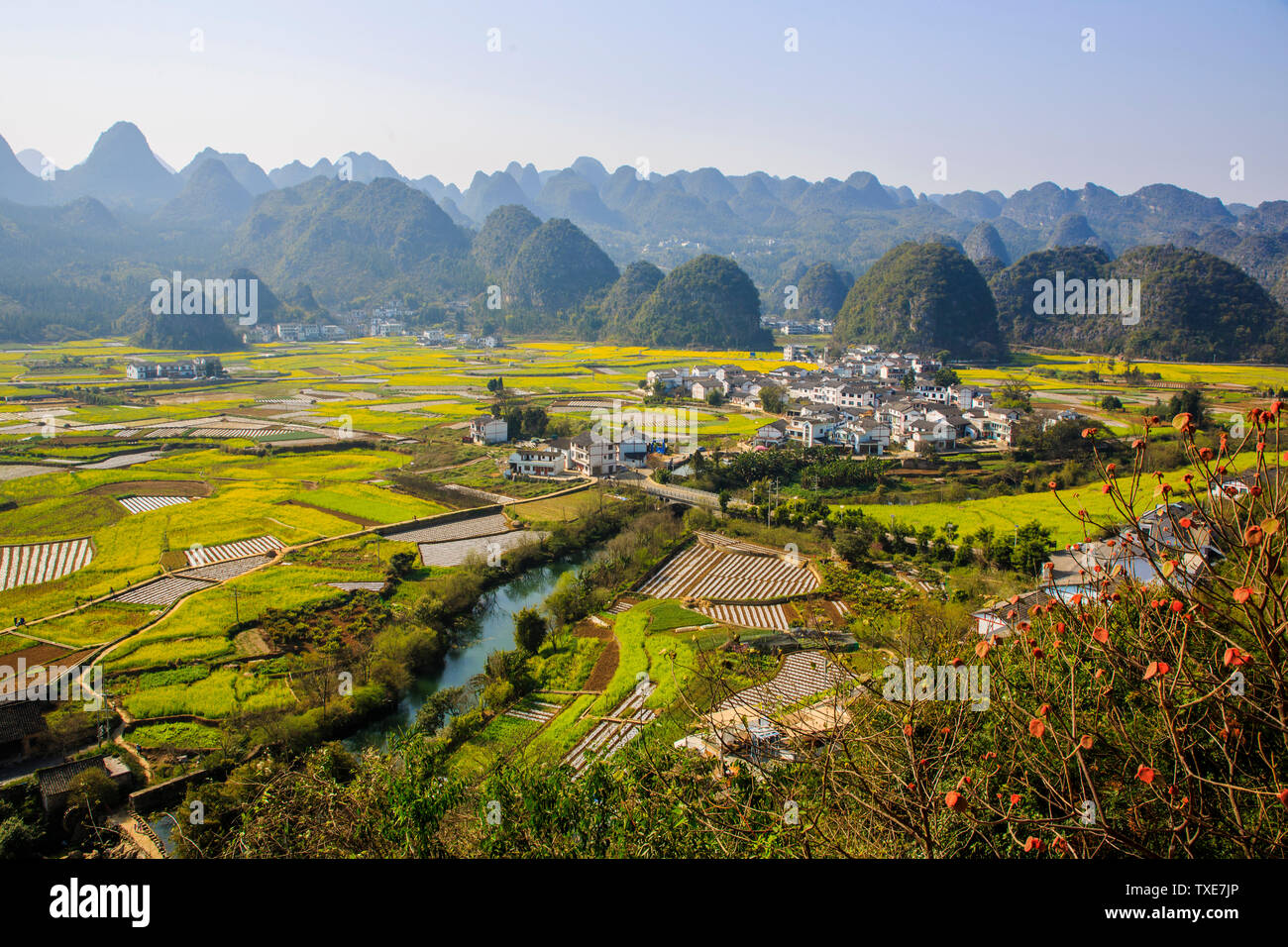 Spring color of Wanfeng forest in Xingyi, Guizhou Stock Photo - Alamy