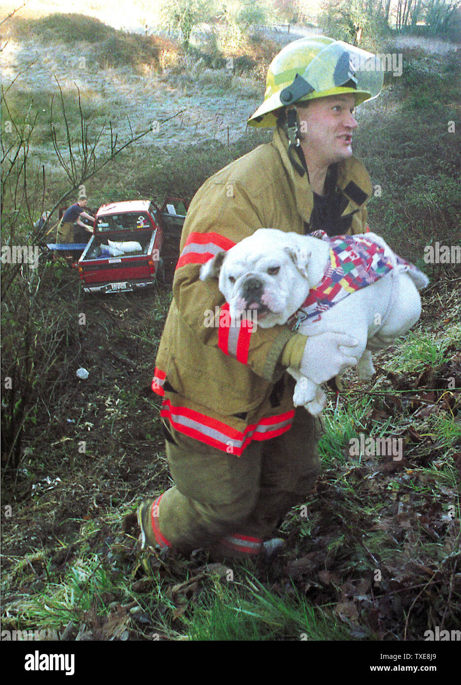 POY2000121205 - BEST OF 2000 18 JANUARY 2000 - SEATTLE, WASHINGTON ,USA: Randy Eaton, of the Kitsap Peninsula District 7 fire department, carries a 50 plus pound bulldog up a Long Lake Road hillside.  The dog's owner reportedly lost control of his truck while passing another motorist on the icy road  January 18, 2000. The dog was fine, but his master was taken to Harrison Memorial Hospital for possible back injuries.   bc/jb/Jim Bryant     UPI Stock Photo
