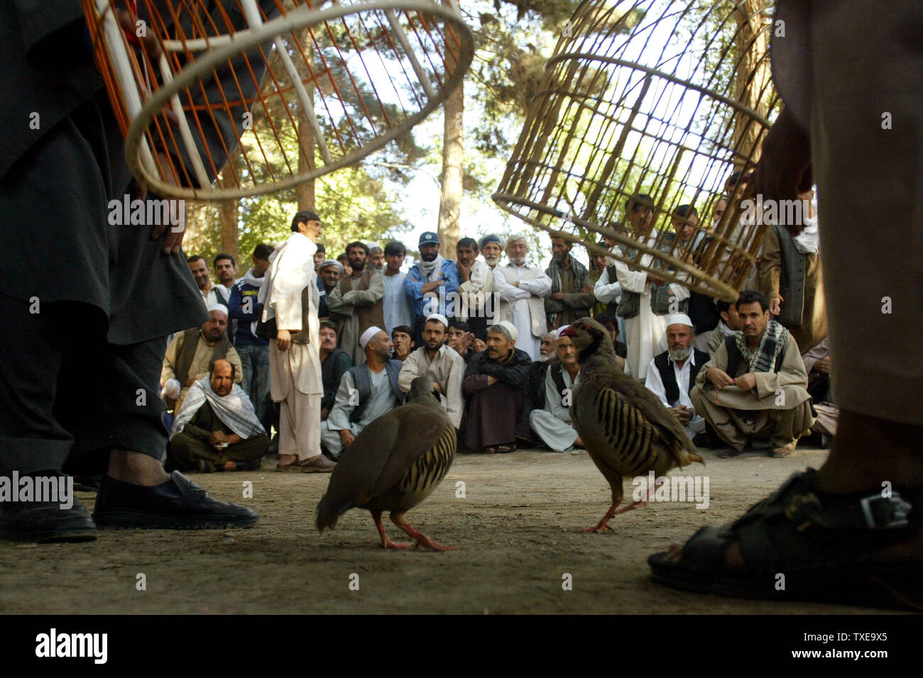 National festivals hi-res stock photography and images - Alamy