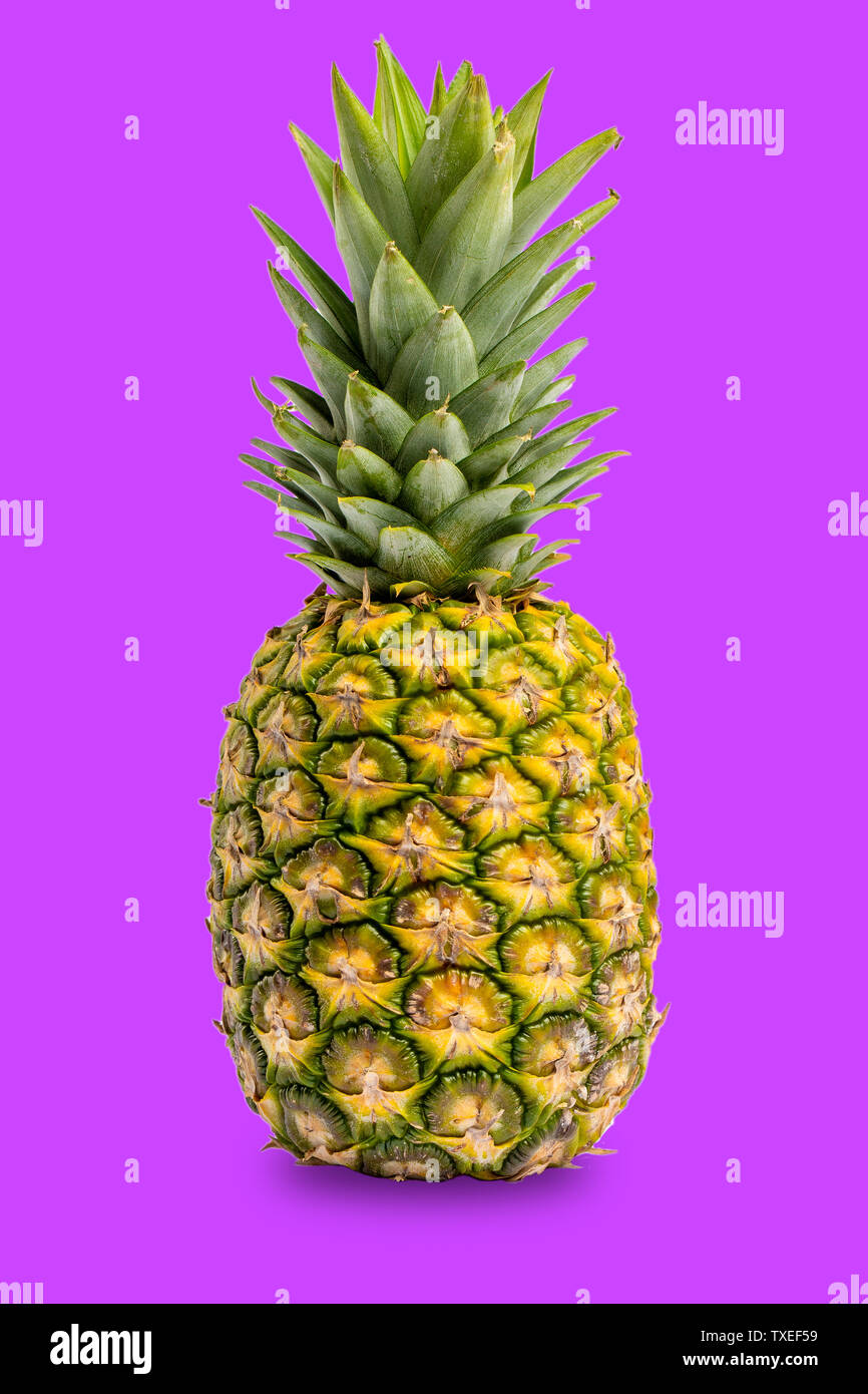 Isolated pineapple on purple background Stock Photo Alamy