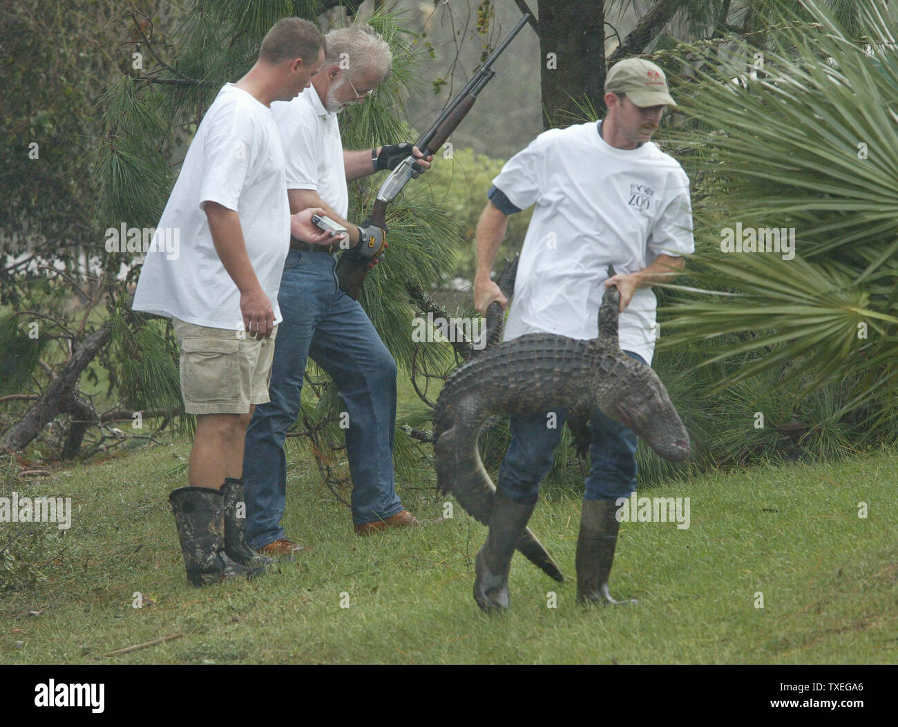 Employees of Zooland in Gulf Shores, Alabama, carry off the body of an