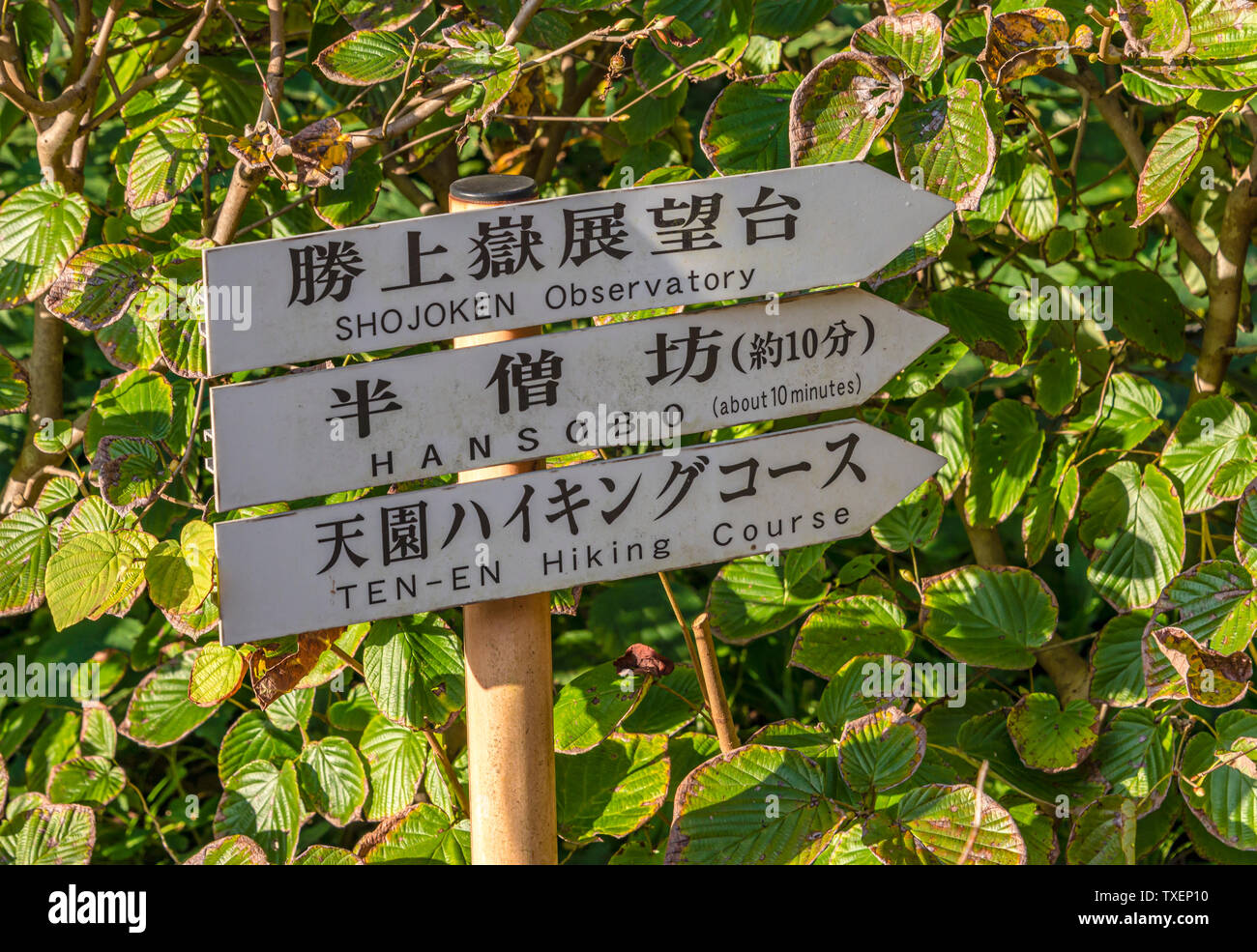 Signboard pointing to Hansobo Temple at Kencho-ji Temple, Kamakura, Kanagawa, Japan Stock Photo