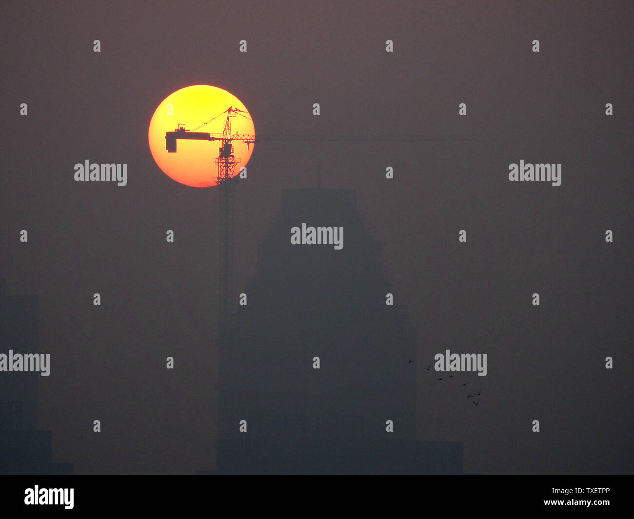 Oriental red sun rise Stock Photo - Alamy