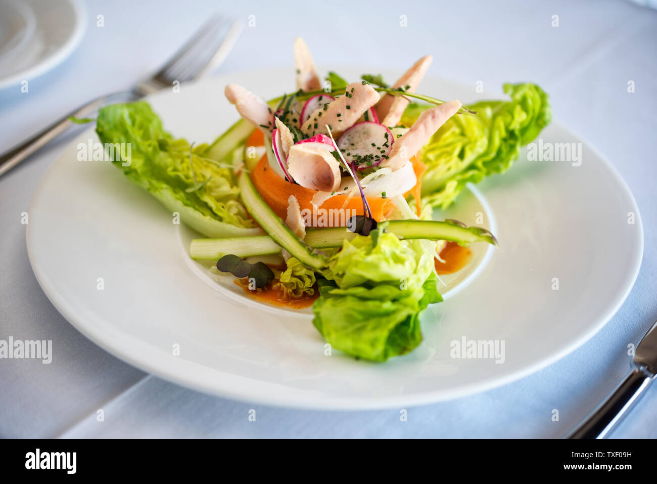 Tuna salad with asparagus, lettuce, carrots and radish, sprinkled with chives. Healthy green salad. Stock Photo