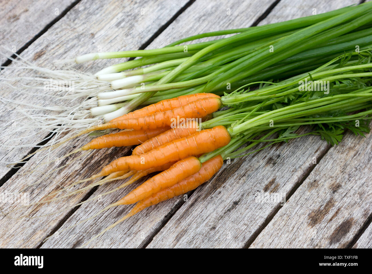 Baby carrots and salad onions on a table top Stock Photo