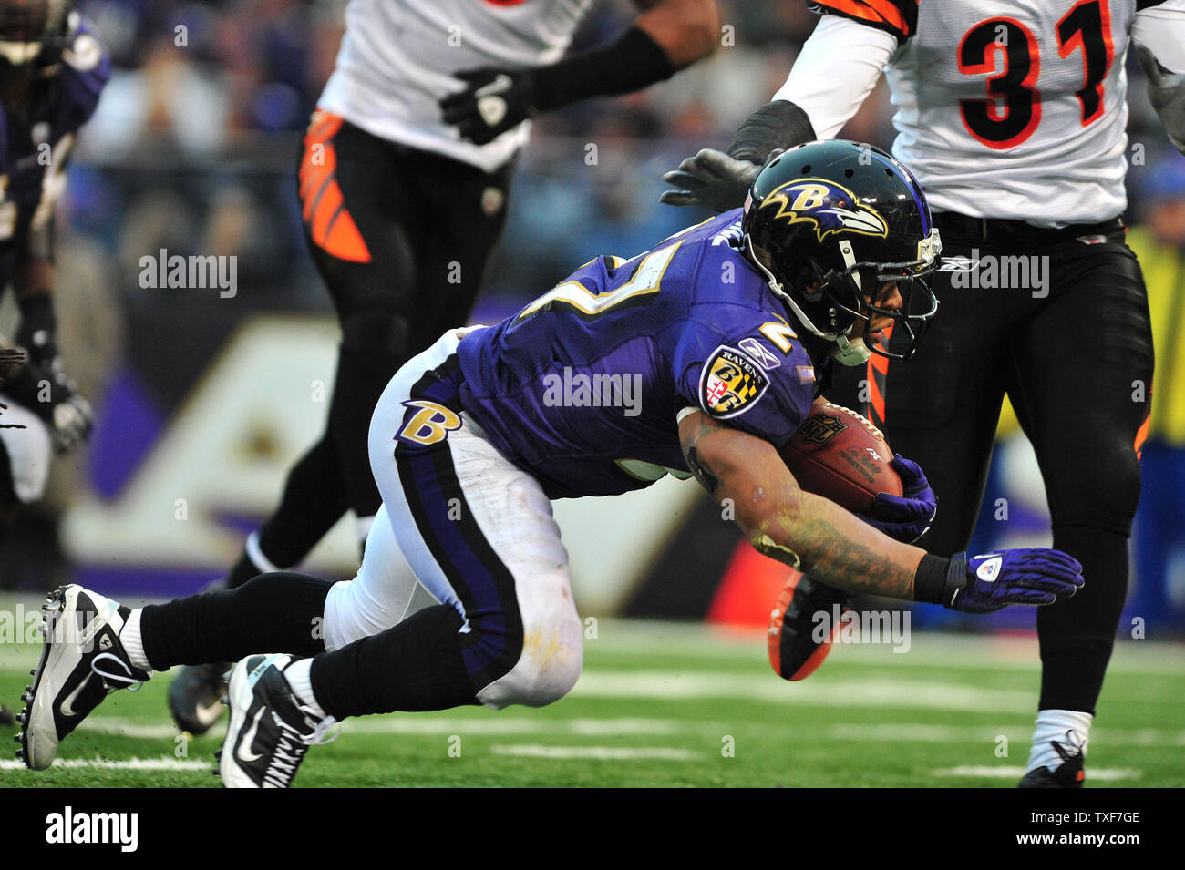 Baltimore ravens ray rice touchdown hi-res stock photography and