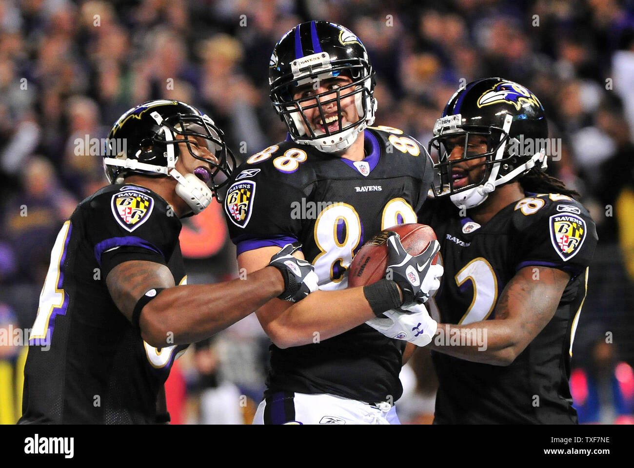 Baltimore Ravens Dennis Pitta (C) celebrates with teammate Ed Dickson (L) and Torrey Smith (R) after scoring an 8-yard touchdown against the San Francisco 49ers during the fourth quarter at M&T Bank Stadium in Baltimore on November 24, 2011. The Ravens defeated the 49ers 16-6.   UPI/Kevin Dietsch Stock Photo