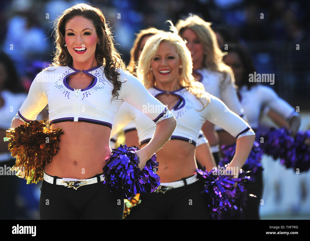 9 Baltimore Ravens Cheerleaders Images, Stock Photos & Vectors