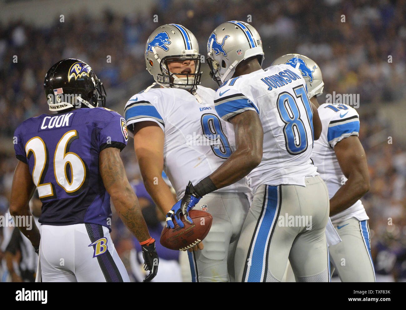 Detroit Lions wide receiver Calvin Johnson (81) during an NFL football game  against the Green Bay Packers at Ford Field in Detroit, Thursday, Nov. 28,  2013. (AP Photo/Rick Osentoski Stock Photo - Alamy