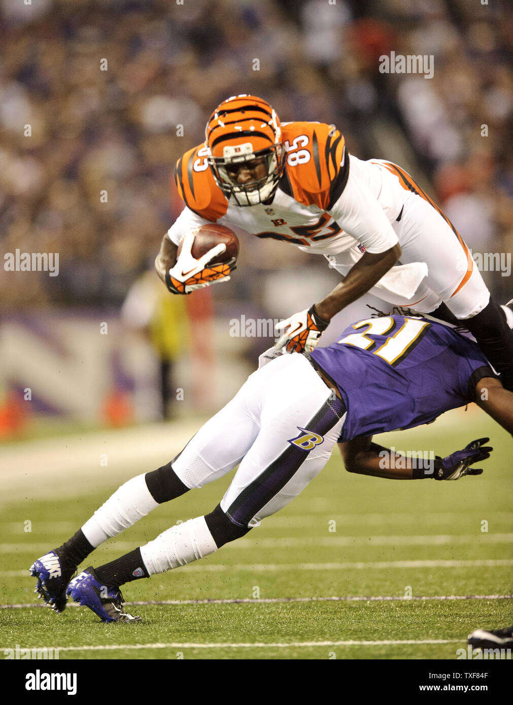 Cincinnati Bengals wide receiver Armon Binns is stopped by Baltimore Ravens defensive back Lardarius Webb during the first quarter at M&T Bank Stadium in Baltimore, Maryland on September 10, 2012. At half time the Ravens are leading 17-10. UPI/Matt Roth Stock Photo