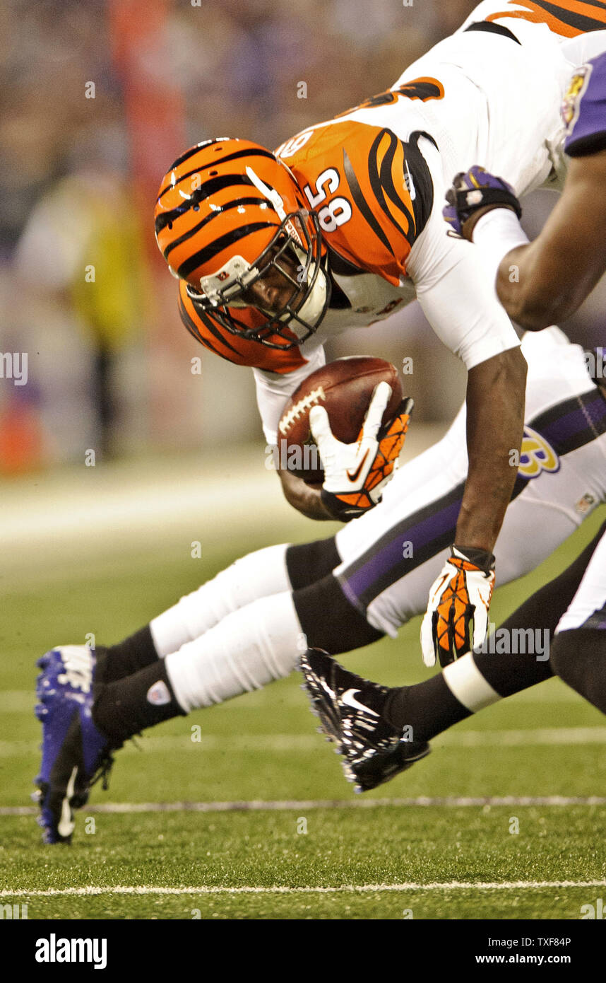 Cincinnati Bengals wide receiver Armon Binns is stopped by Baltimore Ravens defensive back Lardarius Webb during the first quarter at M&T Bank Stadium in Baltimore, Maryland on September 10, 2012. At half time the Ravens are leading 17-10. UPI/Matt Roth Stock Photo