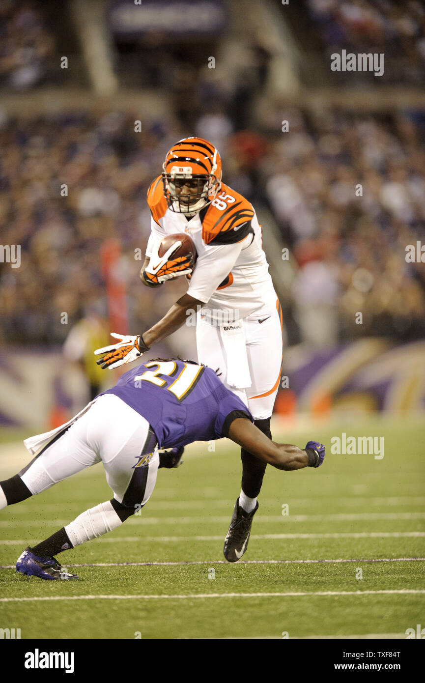 Cincinnati Bengals wide receiver Armon Binns is stopped by Baltimore Ravens defensive back Lardarius Webb during the first quarter at M&T Bank Stadium in Baltimore, Maryland on September 10, 2012. At half time the Ravens are leading 17-10. UPI/Matt Roth Stock Photo