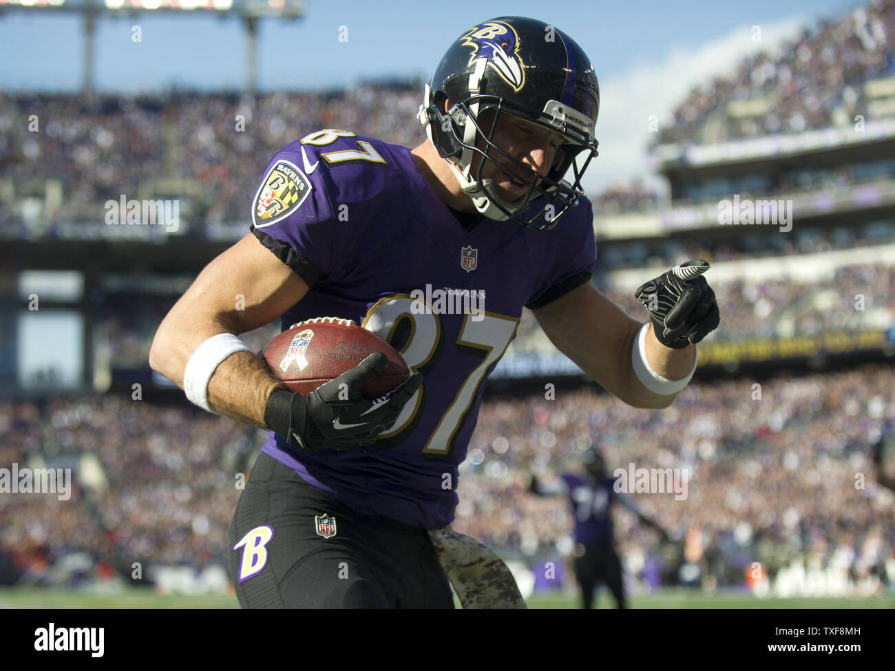 Baltimore Ravens tight end Dallas Clark brings in a 1-yard touchdown against the Cincinnati Bengals during the during the first quarter at M&T Bank Stadium in Baltimore, Maryland, November 10, 2013.  UPI/Kevin Dietsch Stock Photo