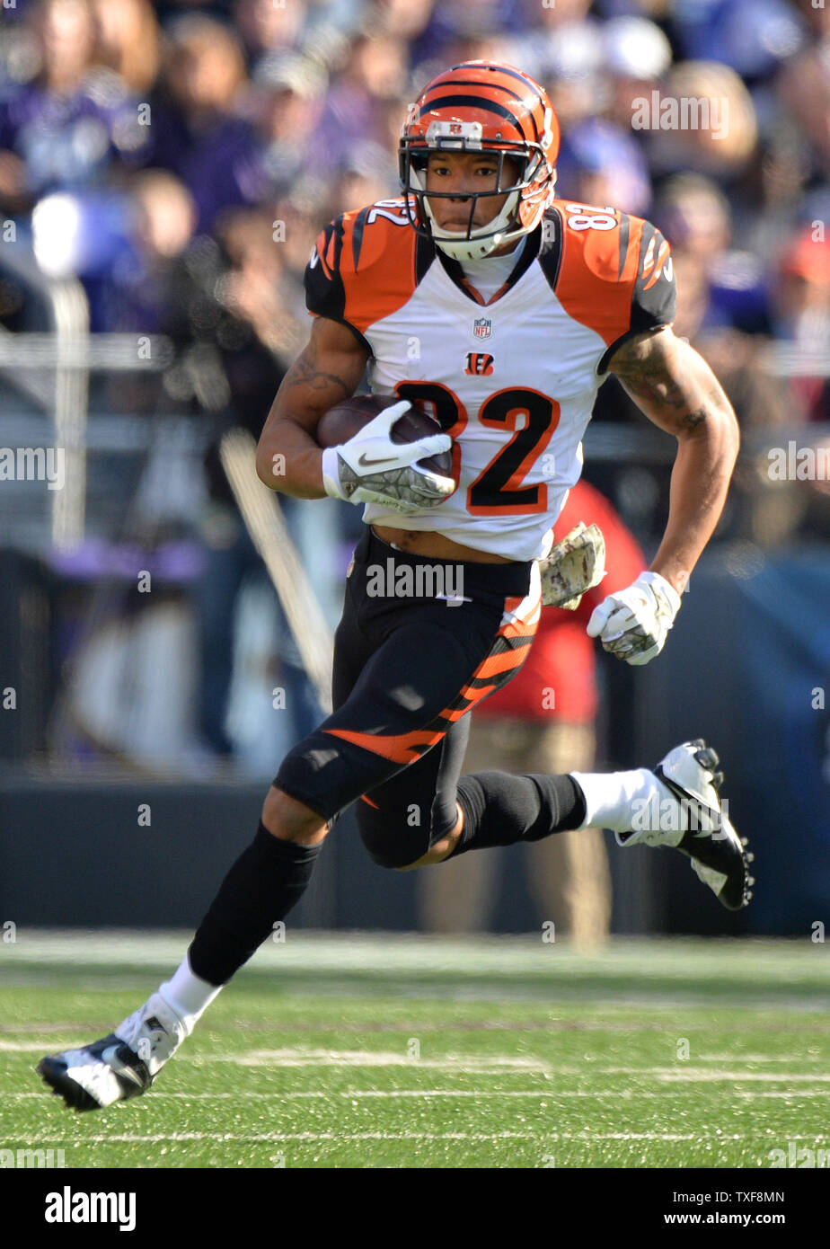 Cincinnati Bengals running back wide receiver Marvin Jones runs for a first down against the Baltimore Ravens during the first quarter at M&T Bank Stadium in Baltimore, Maryland, November 10, 2013.  UPI/Kevin Dietsch Stock Photo