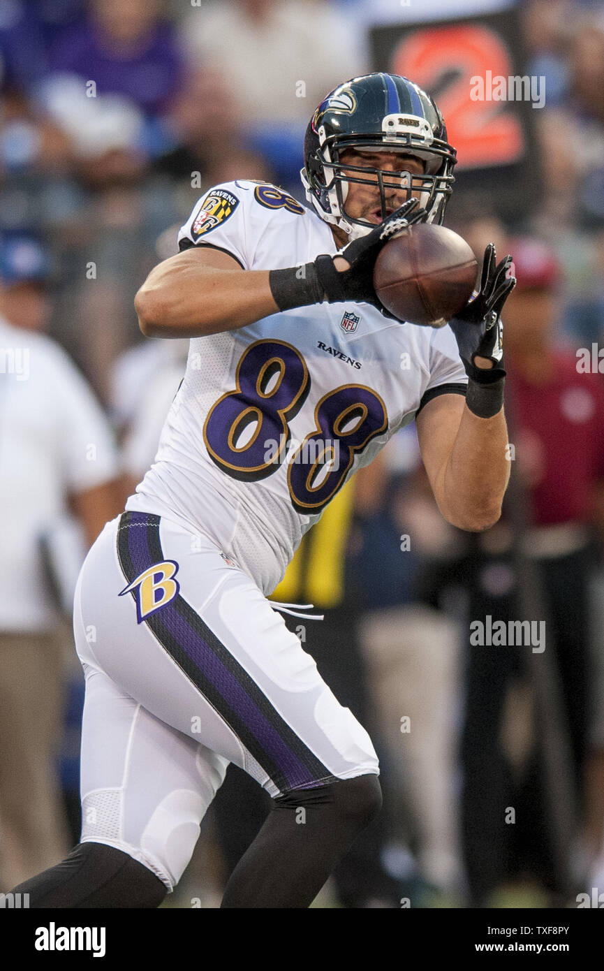 Dennis pitta cheap jersey sale
