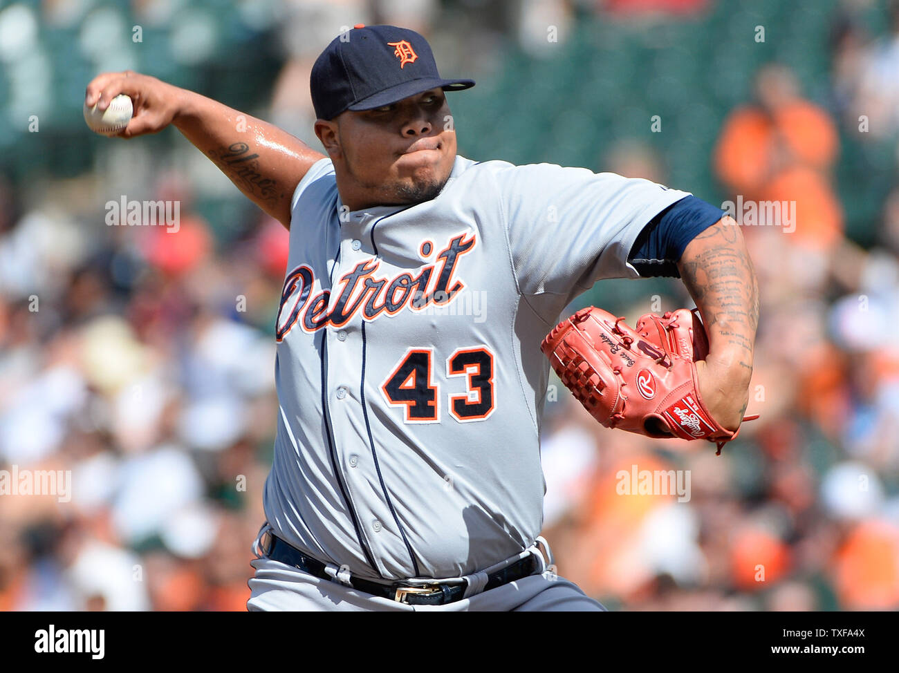 Bruce rondon hi-res stock photography and images - Alamy