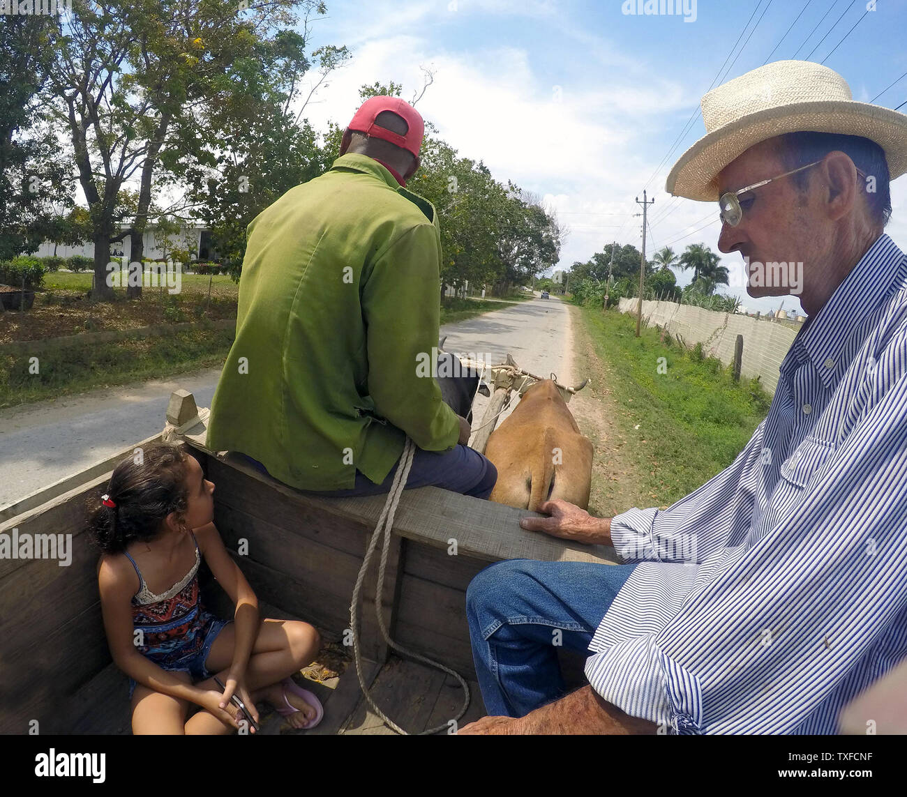 Tobacco farmer and grandchild take a ride in an ox cart with farm worker to tour his tobacco plantation Pinar Del Rio Province, Cuba, Caribbean Stock Photo