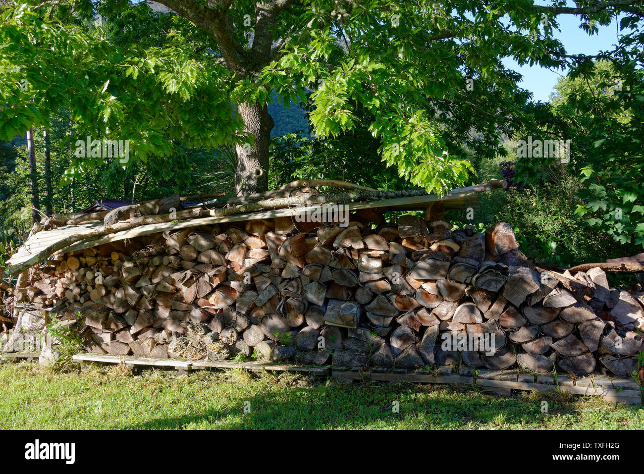Well prepared for the next winter with this covered firewood pile Stock Photo