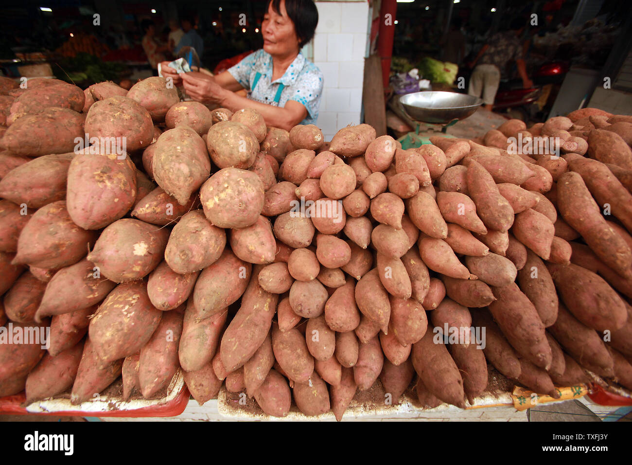 Chinese yams hires stock photography and images Alamy