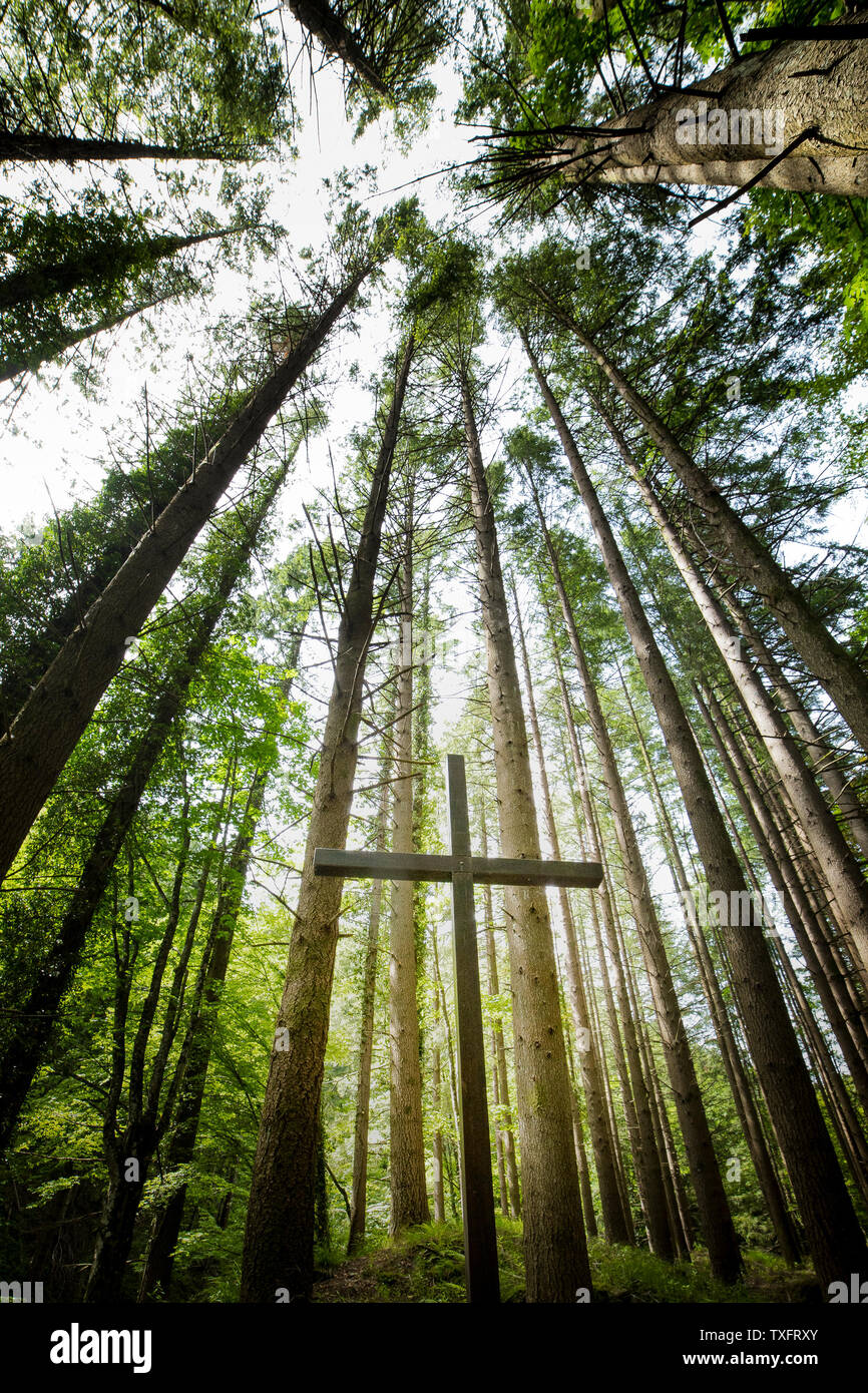 A christian holy cross located among high trees forest. Vertical shot and wide angle perspective. Stock Photo