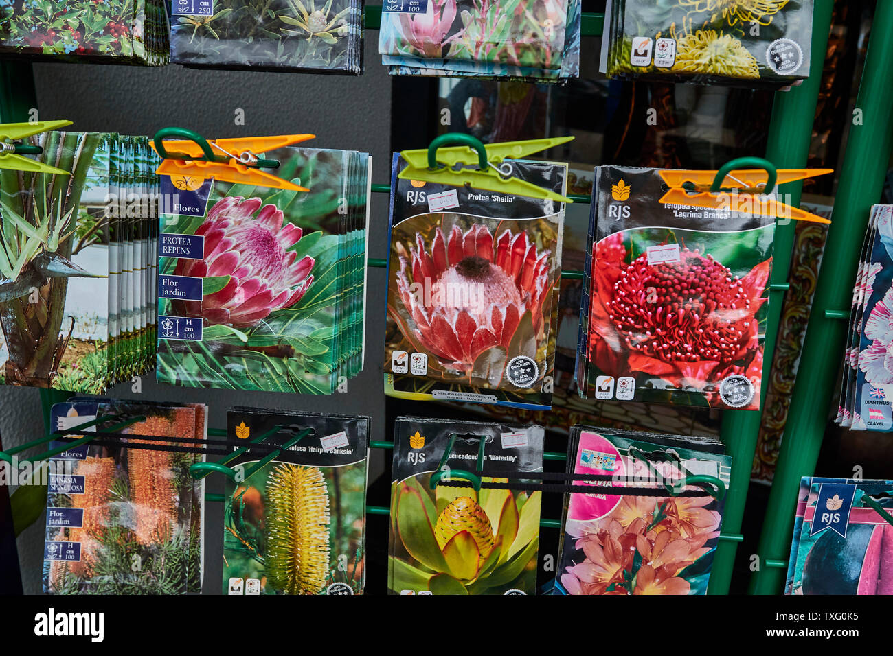 Packets of flower seeds Stock Photo - Alamy