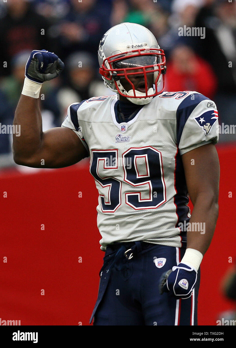 New England Patriots linebacker Rosevelt Colvin (59) celebrates