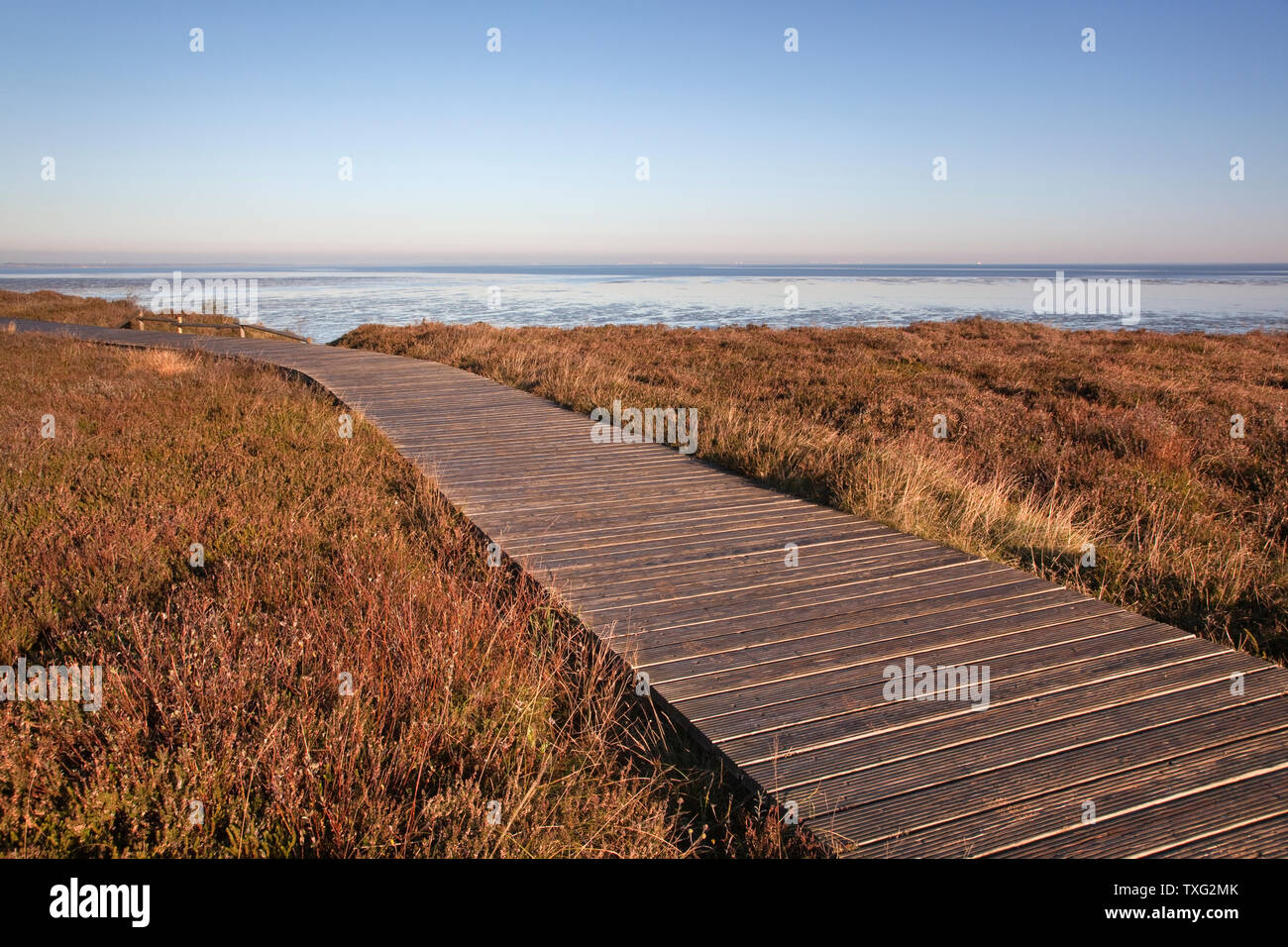 geography / travel, Germany, Schleswig-Holstein, way by means of the heath to the mud flats at Morsum , Additional-Rights-Clearance-Info-Not-Available Stock Photo