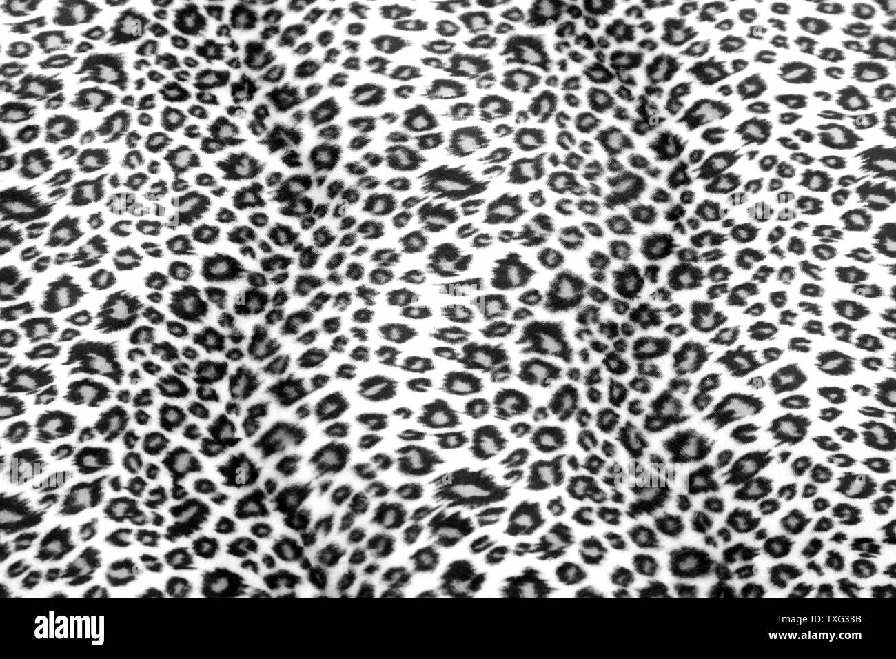 Leopard pattern hi-res stock photography and images - Alamy