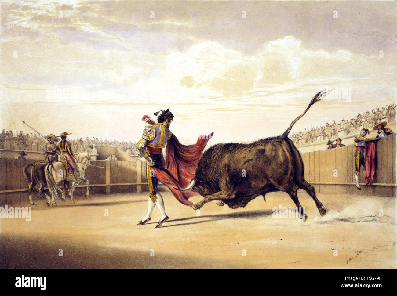 Lake PriceWilliam Lake Price English school Bullfighting : Bull charging while the matador plays with his cape  Chromolithograph Stock Photo