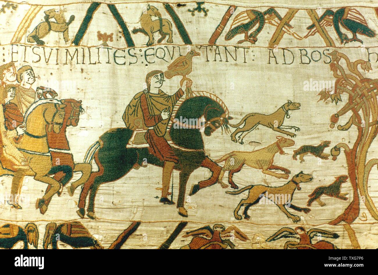Bayeux Tapestry   Harold Godwinson, Earl of Wessex (later Harold  II of England), holding hawk, riding to Bosham for hunting and sea fishing Stock Photo