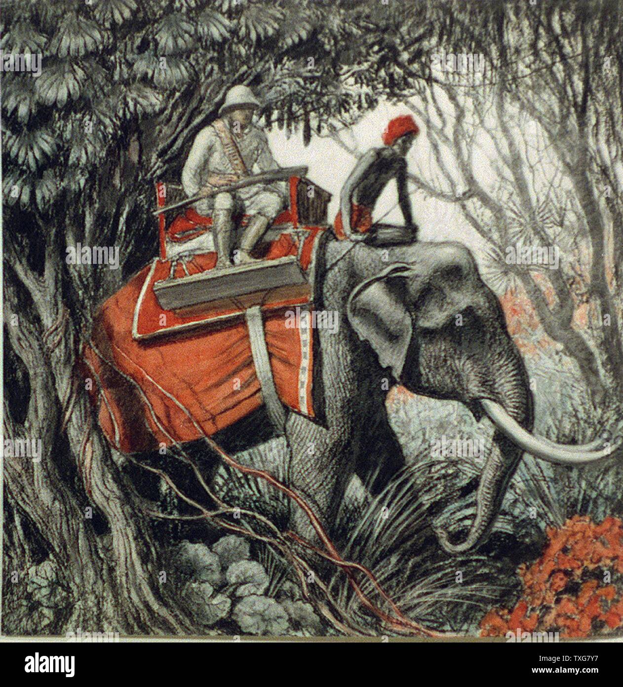 Tiger hunting in Indian jungle, late 19th-early 20th century White hunter wearing topee and carrying a rifle, seated in howdah on back of a tusker. Mahout peers intently ahead. Lithograph Stock Photo