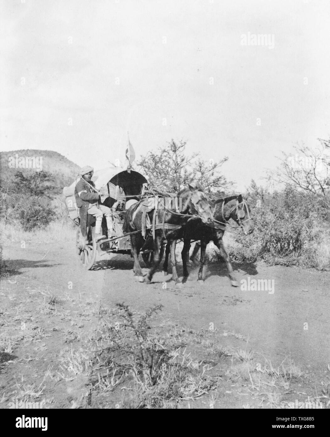 Second Boer War 1899-1902 : Horse-drawn covered hospital cart with Indian driver used by British in South Africa during the Boer War.  Medicine Ambulance  Military British Colonialism Stock Photo