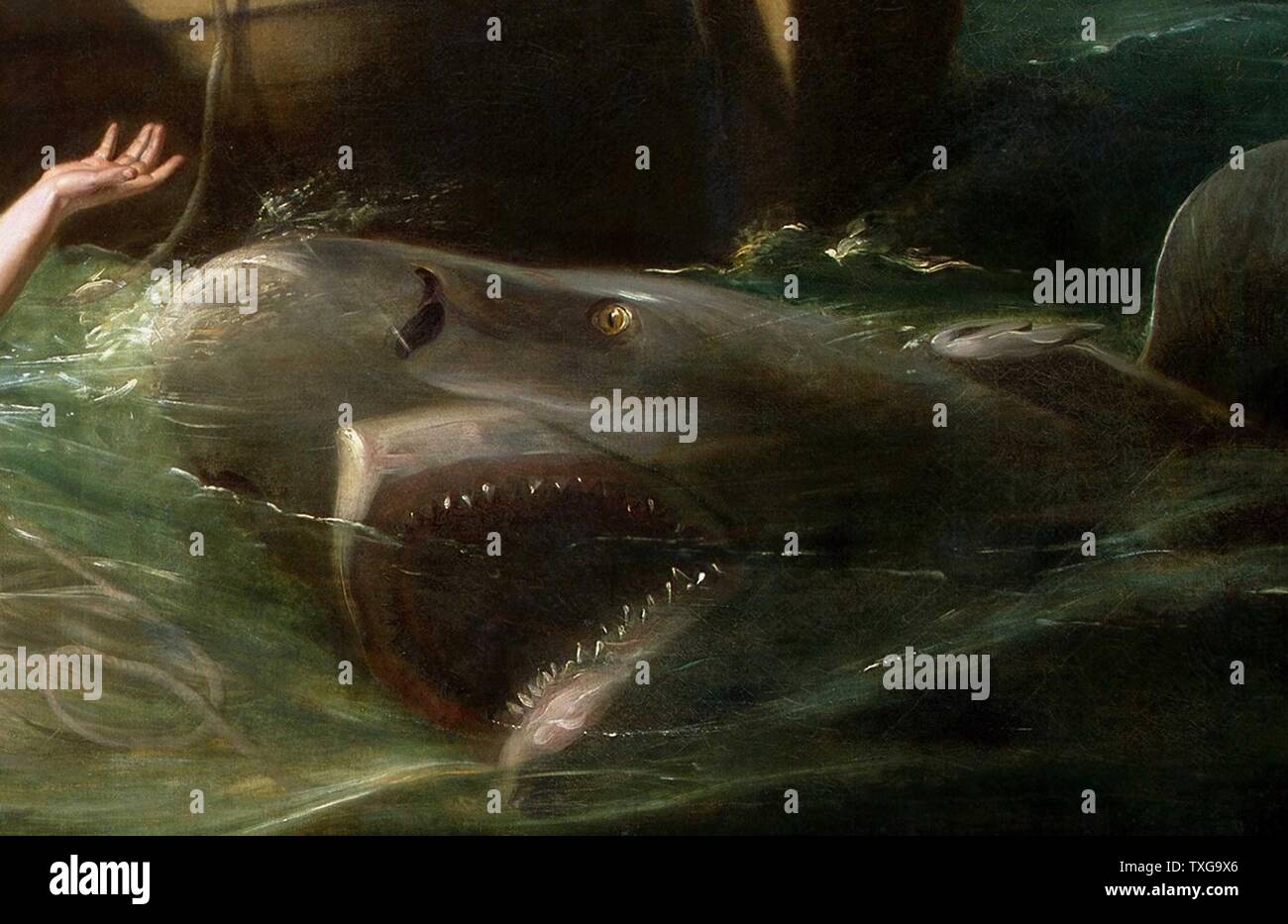 Copy Of Watson And The Shark By John Singleton Copley Stock Photo Alamy copy-of-watson-and-the-shark-by-john-singleton-copley-stock-photo-alamy