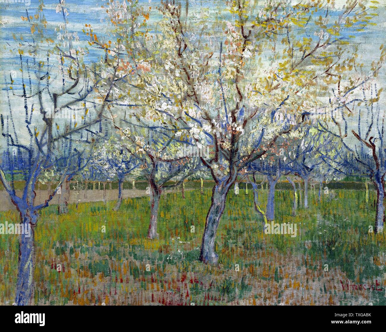 Vincent van Gogh Dutch school The Pink Orchard 1888 Oil on canvas (65 x 81 cm) Amsterdam, Van Gogh Museum Stock Photo